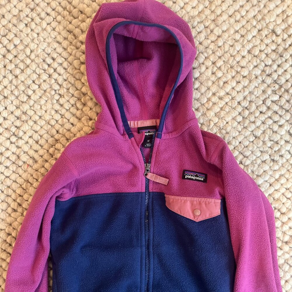 Patagonia 4T Micro D Snap-T Fleece Jacket